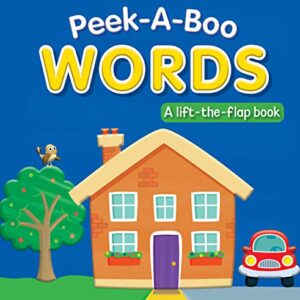 PEEK-A-BOO WORDS: A LIFT-THE-FLAP BOOK